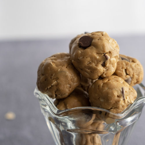 Protein Peanut Butter Bites