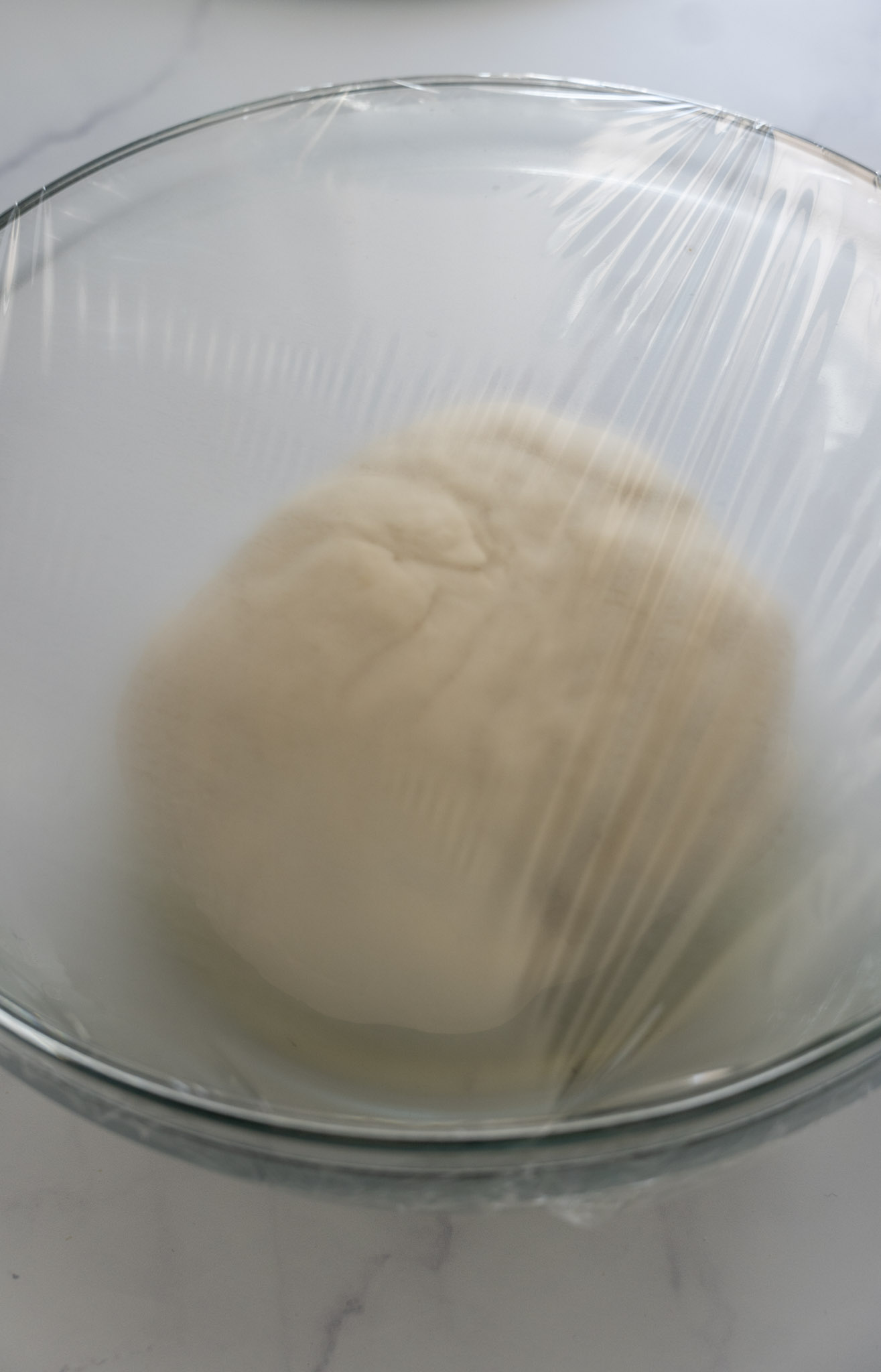 Pizza Dough Before Proofing