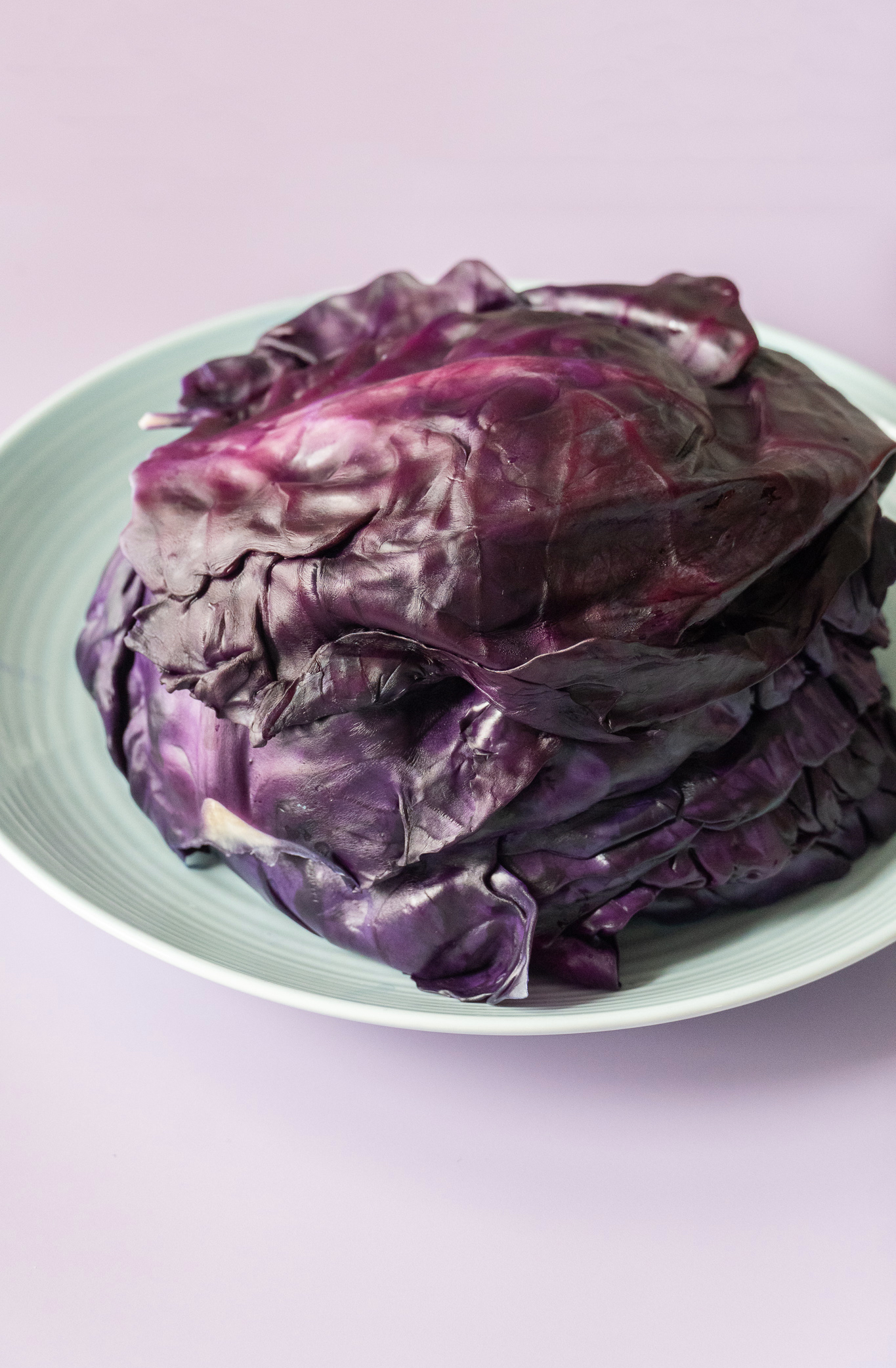 Red Cabbage