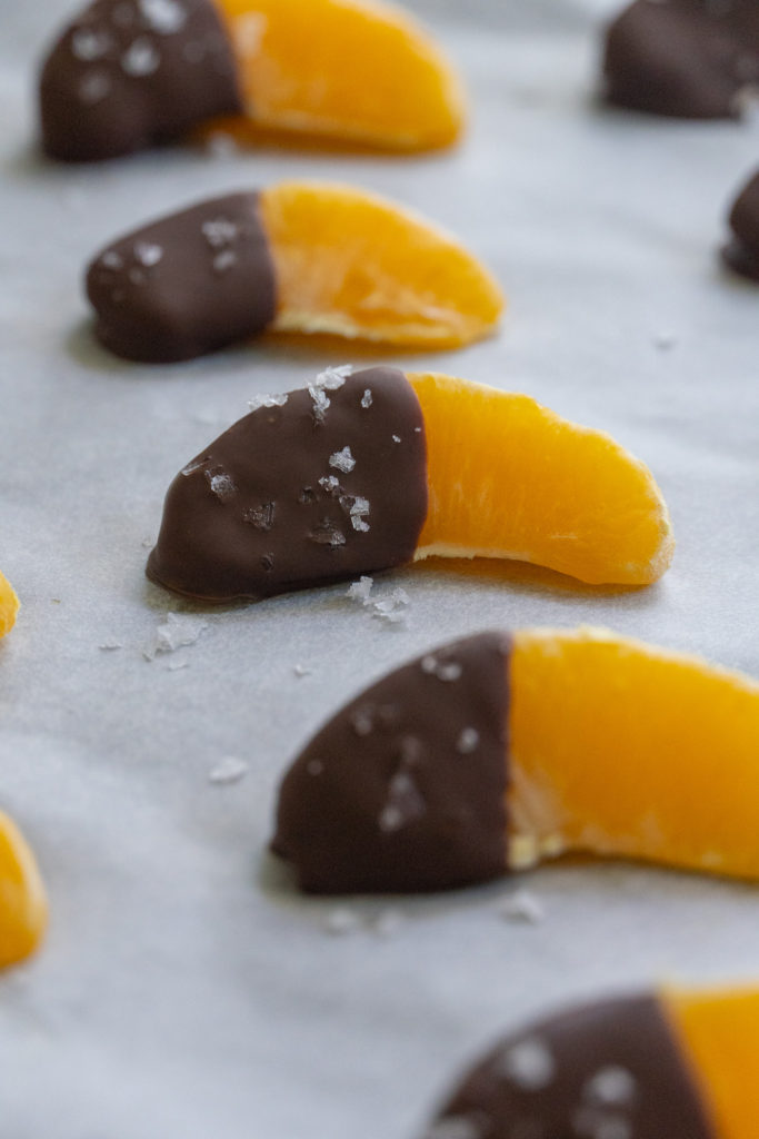 Chocolate Dipped Oranges Slices