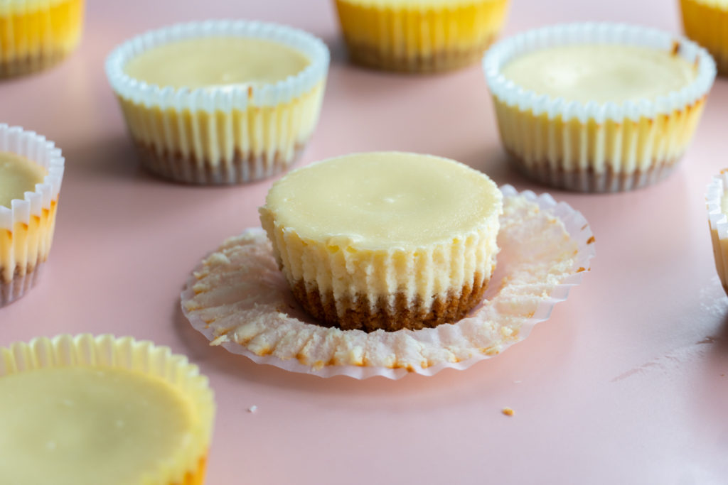 Mini Cheesecake