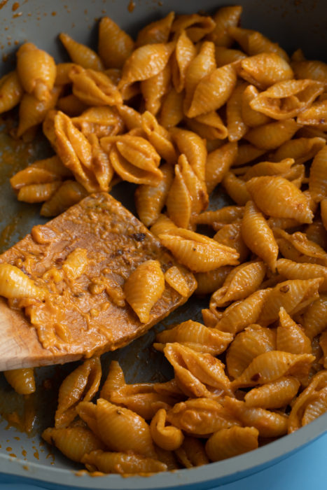 Vodka Pasta